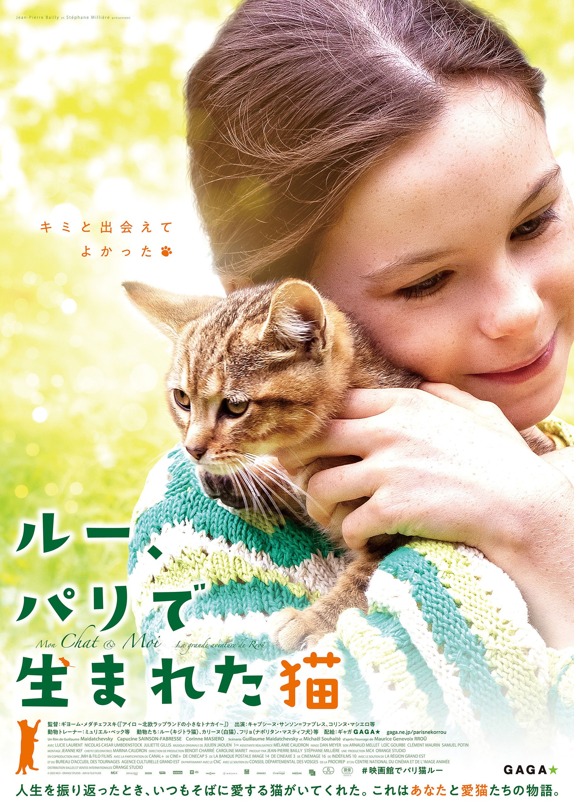 ルー、パリで生まれた猫 - ひとシネマ